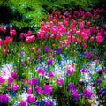 Garden Flowers with Tulips — Canvas Print | D Davila