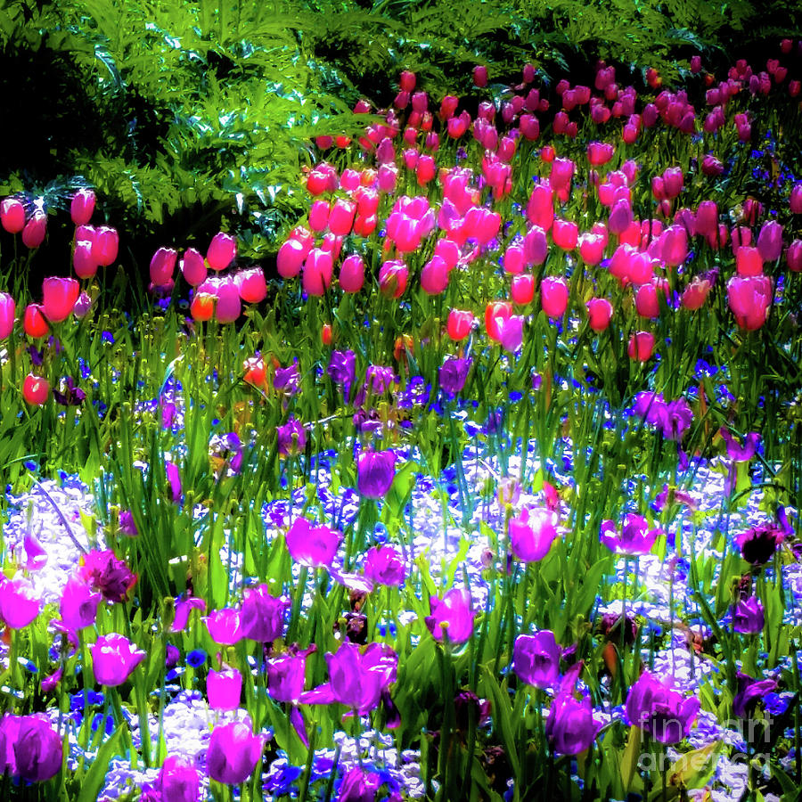 Garden Flowers with Tulips — Canvas Print | D Davila