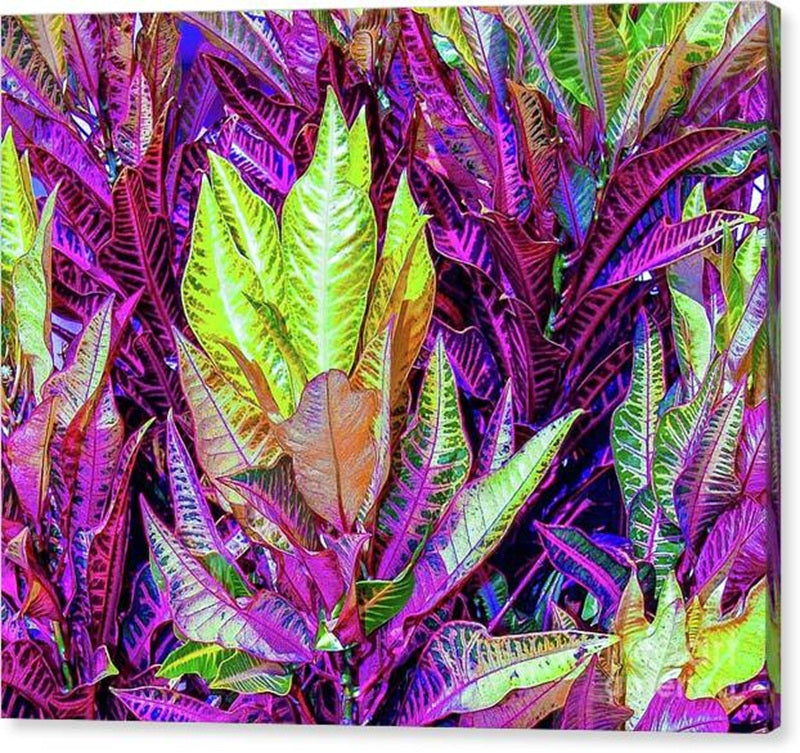 In The Leaves #2 Canvas Print — 24x20 in. | Gallery Wrap