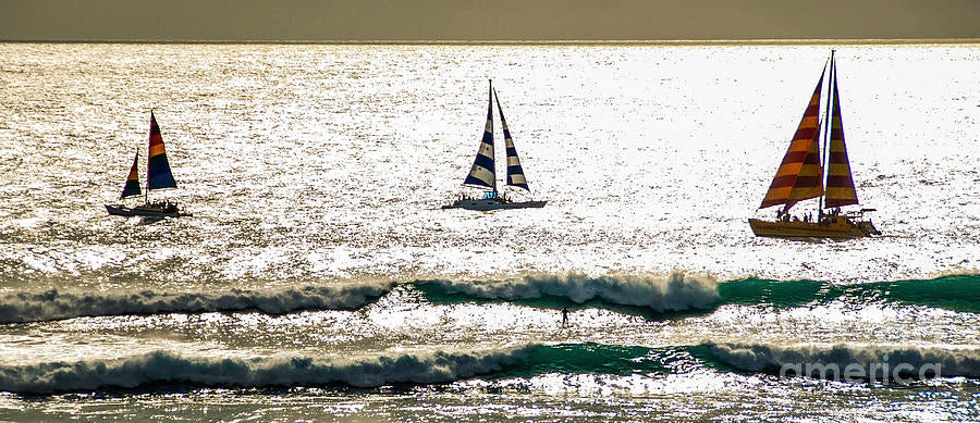 3 Catamarans Sailing — Canvas Print | D Davila