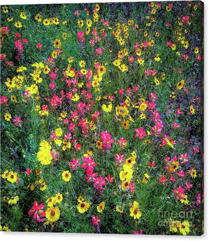 Wild Flowers #6 Canvas Print — 24x24 Gallery Wrap