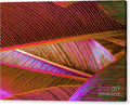 Vibrant Tropical Leaf Patterns Canvas Print
