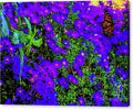 Purple Wildflowers and Monarch Butterfly Gallery Wrap 24x17 inches.
