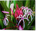 Exotic Tropical Flowers Canvas Print
