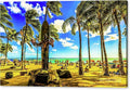 Duke Paoa Kahanamoku Statue — Olympic Swim Champion — Waikiki Beach Canvas Print by D Davila — 48x28.5 Gallery Wrap