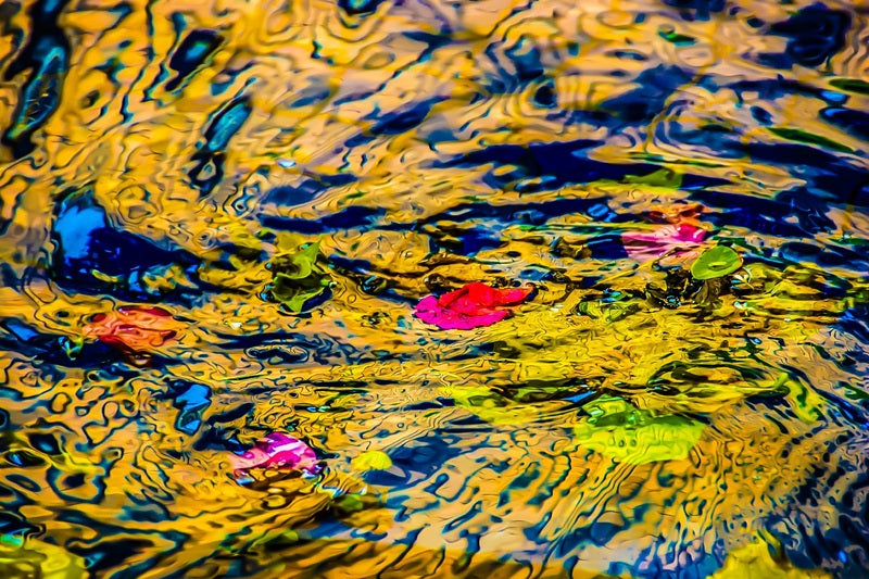 Vibrant Swirls of Color on Water // Canvas Print by D Davila #1886