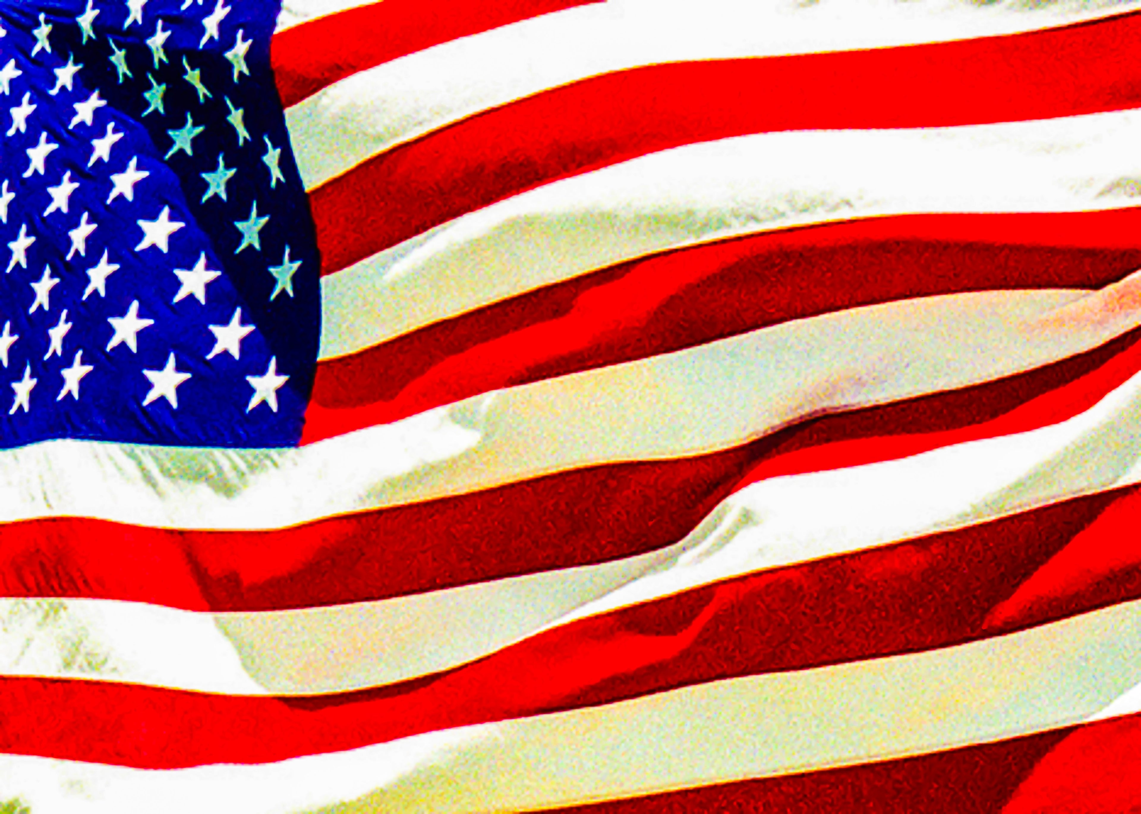 USA American Flag Canvas Print by D Davila