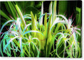 Vibrant Green Flowers in Bloom Canvas Print