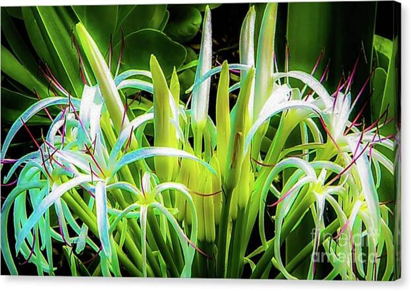 Vibrant Green Flowers in Bloom Canvas Print