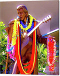 Elvis Presley Statue Adorned with Leis Canvas Print by D Davila — 44x48 Gallery Wrap