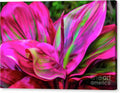 Vibrant Tropical Hawaiian Foliage Canvas Print