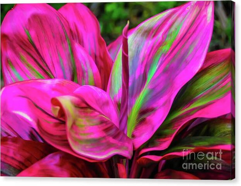 Vibrant Tropical Hawaiian Foliage Canvas Print