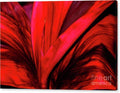 Vibrant Red Leaf Close-Up Canvas Print