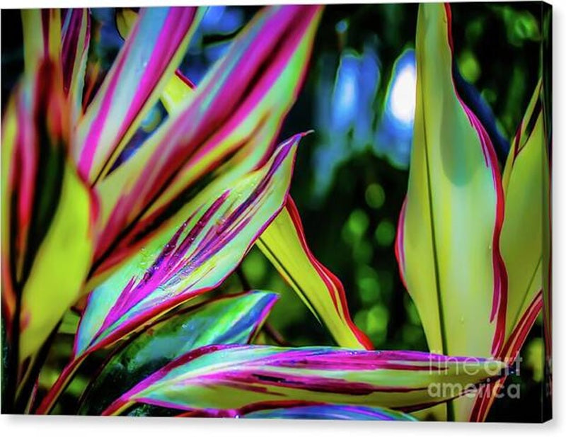 Vibrant Hawaii Tropical Foliage Canvas Print