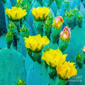 Blooming Cactus in Vibrant Colors // Canvas Print by D Davila