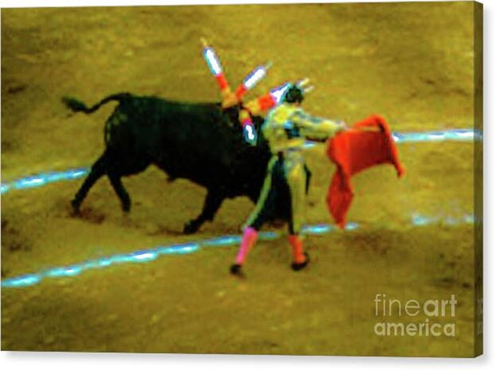 Bullfight Plaza de Toros Mexico City — Canvas Print | D Davila