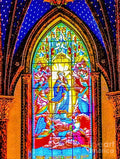 Saint Mary's Cathedral - Stained Glass Window - Austin, Texas // Canvas Print by D Davila