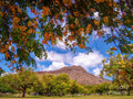 Diamond Head Crater at Queen Kapiolani Park - Hawaii Tropical Flowers — Canvas Print | D Davila