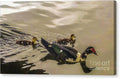 Duck Family Canvas Print — 20x11.5 in. | Gallery Wrap