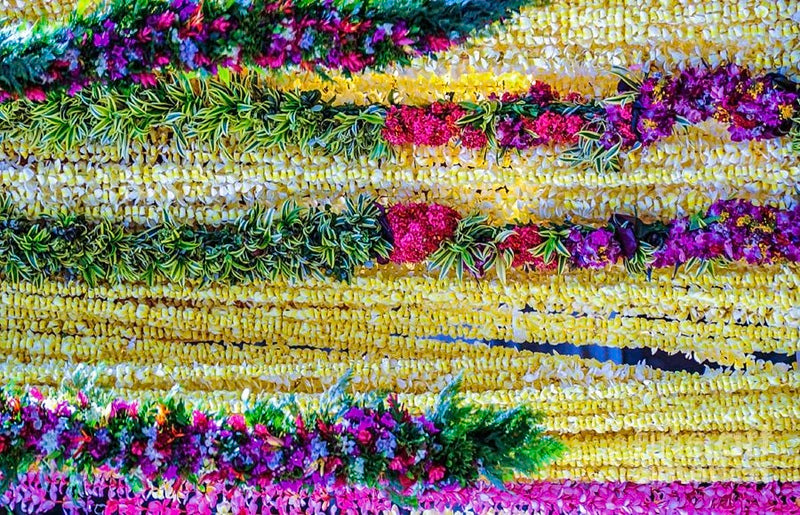 Hawaii Flower Lei's — Canvas Print | D Davila