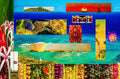 Hawaii Mixed Review — Canvas Print | D Davila