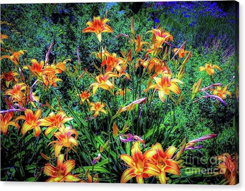 Lilies In the Garden Canvas Print – 24x16 Gallery Wrap