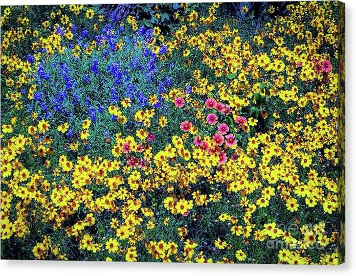 Spring Wildflowers — Canvas Print | D Davila
