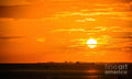 Sunset Over Calm Ocean // Canvas Print by D Davila