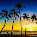 Sunset Silhouettes by the Beach — Gallery Wrap Canvas Print 16x16 Inches