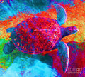 The Great Sea Turtle in Abstract — Canvas Print | D Davila