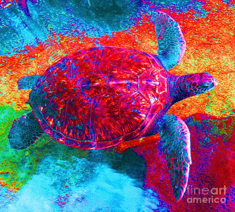 The Great Sea Turtle in Abstract — Canvas Print | D Davila