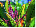 Ti Leaf Plant and Flowers Canvas Print – 24x16 Gallery Wrap