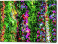 Tropical Hawaii Flower Lei's — Canvas Print | D Davila