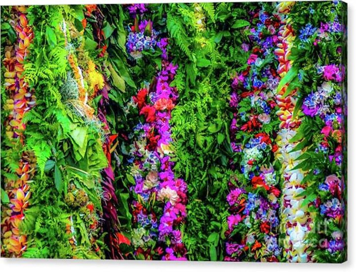 Tropical Hawaii Flower Lei's — Canvas Print | D Davila
