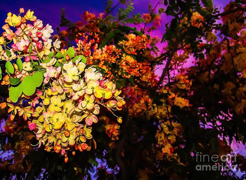Vibrant Blossoms at Dusk // Canvas Print by D Davila