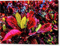 Vibrant Leaves Tropical Foliage — Gallery Wrap Canvas Print 24x16 Inches