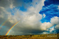Vibrant Rainbow Over Lush Landscape // Canvas Print by D Davila